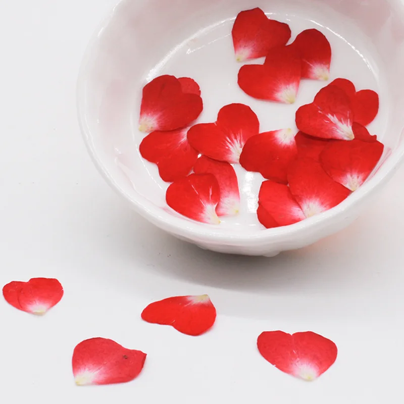 Resin Art Rose Petals - 40PC/0.5~1.2CM Real Natural Dried Pressed Heart