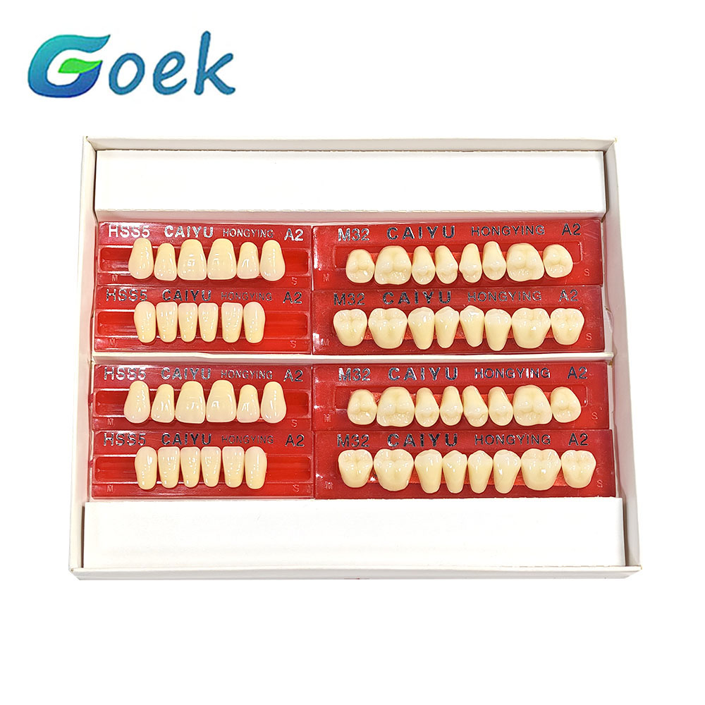 Resin Art Case - (28*1)*2 Sets Dental Squthetic Resin Teeth