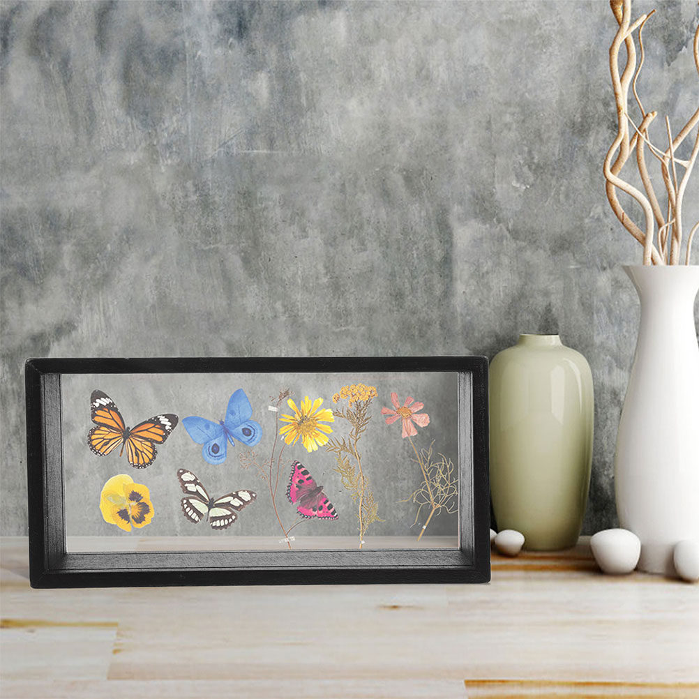 2Pcs Pressed Flower Frame Acry - Dried Flower Pressed review and price