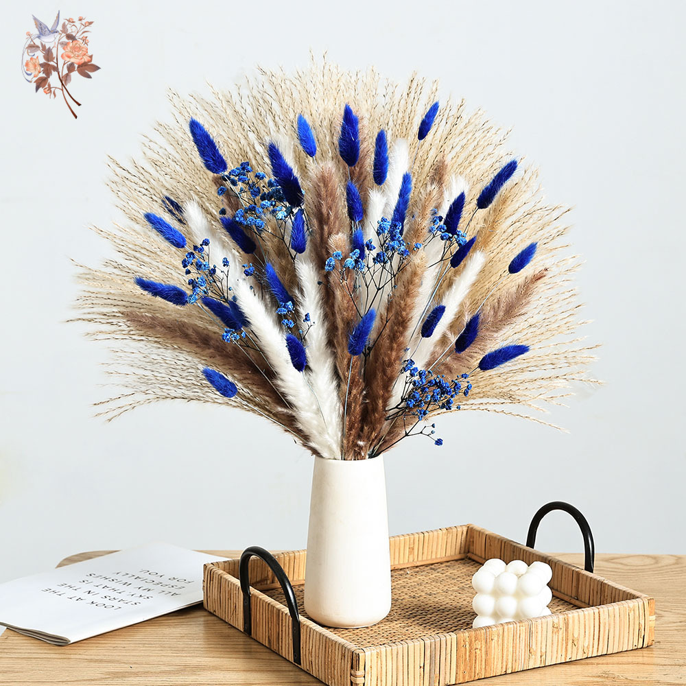 70 Stem Blue Fluffly Rabbit Ta - Dried Flower Pressed review and price