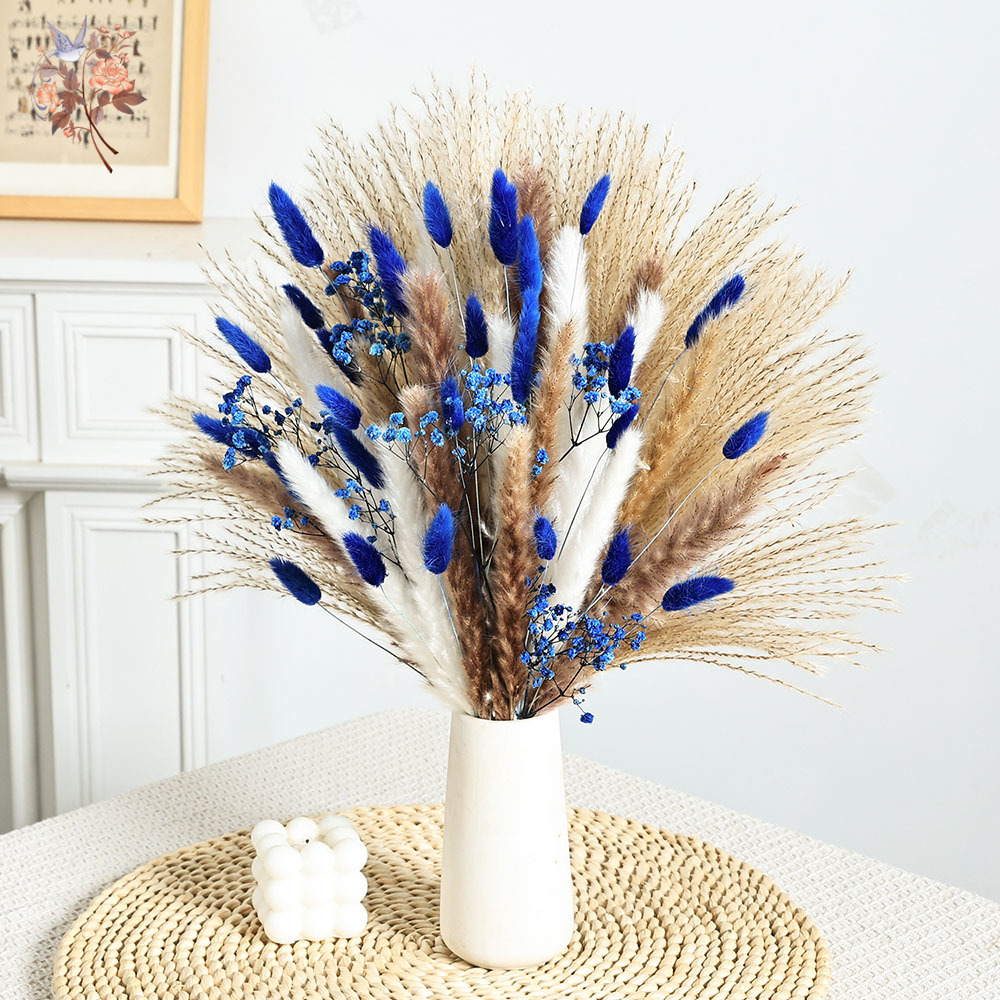 70 Stem Blue Fluffly Rabbit Ta - Dried Flower Pressed review and price