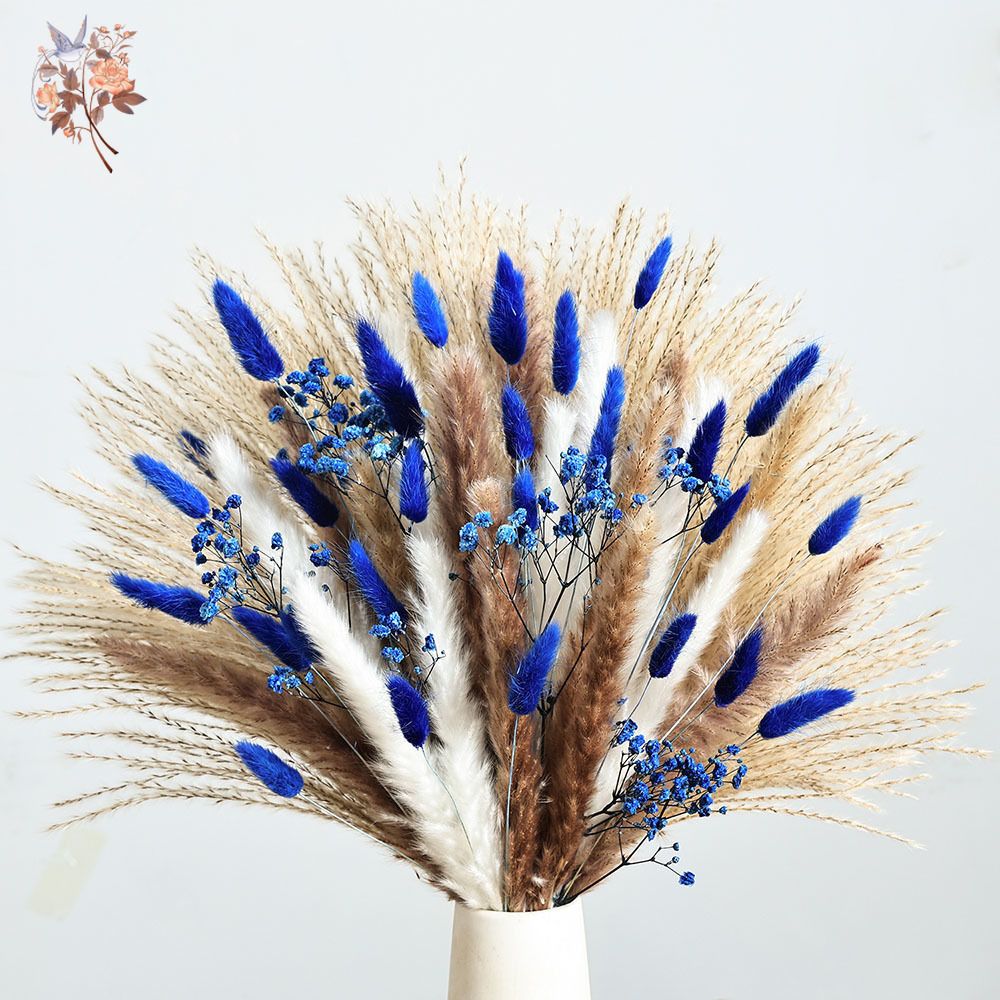 70 Stem Blue Fluffly Rabbit Ta - Dried Flower Pressed review and price
