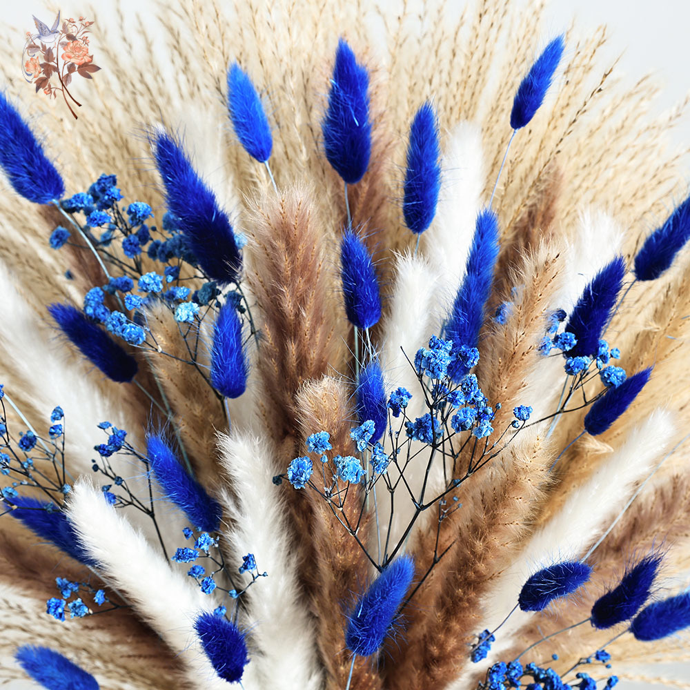 70 Stem Blue Fluffly Rabbit Ta - Dried Flower Pressed review and price
