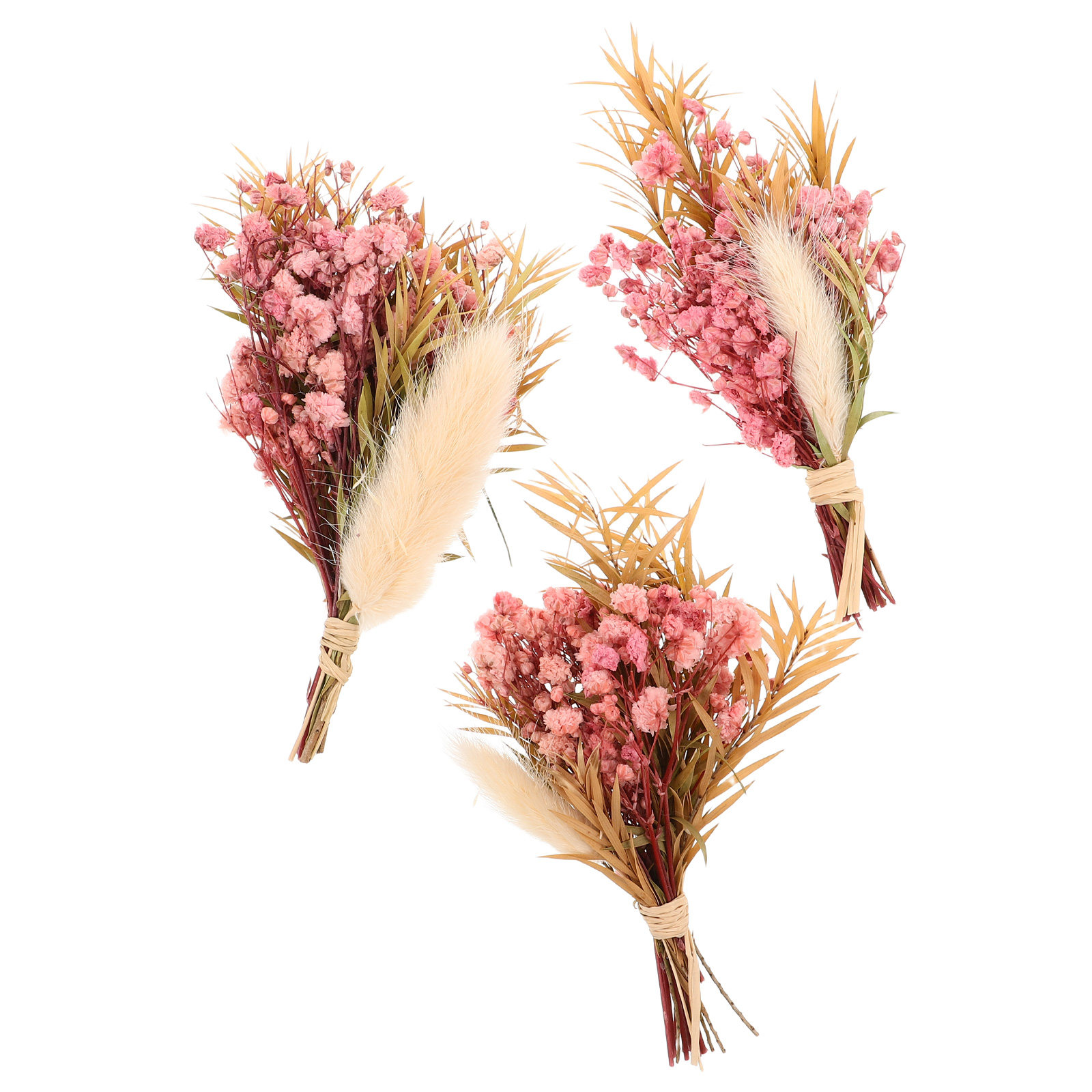 3Pcs Mini Dried Floral Bouquet - Dried Flower Pressed review and price