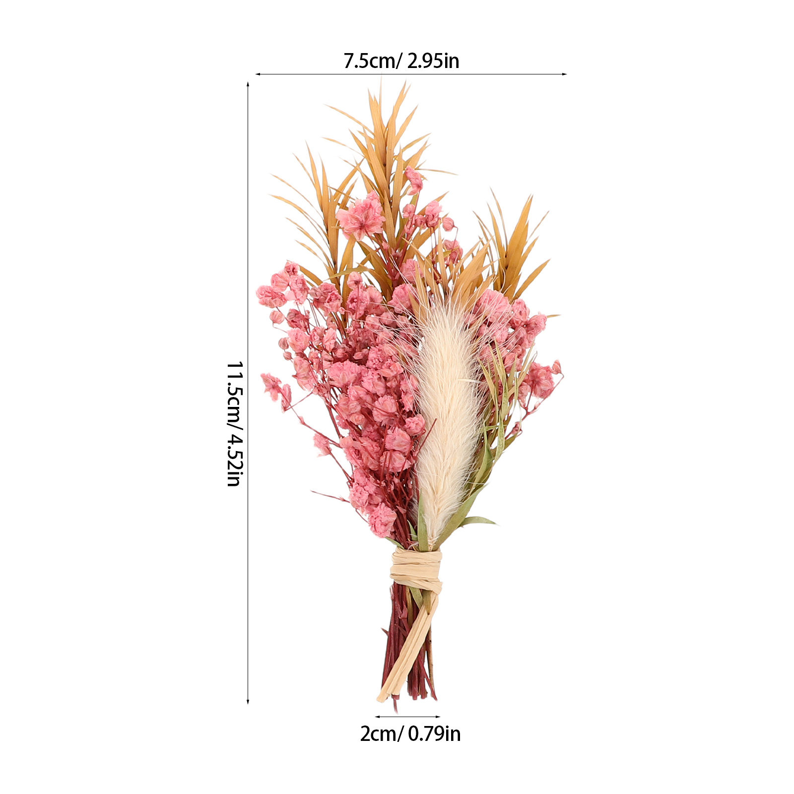 3Pcs Mini Dried Floral Bouquet - Dried Flower Pressed review and price