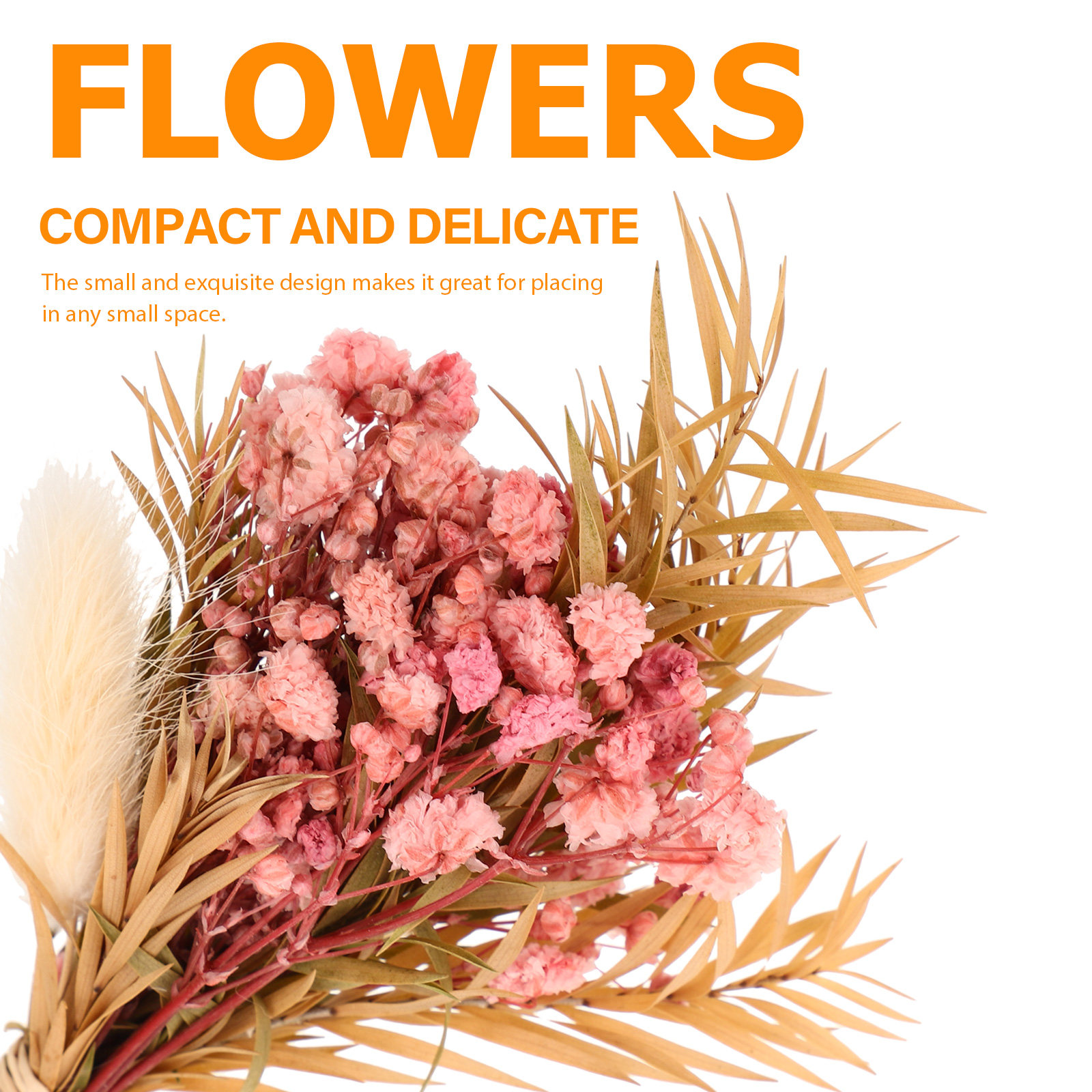 3Pcs Mini Dried Floral Bouquet - Dried Flower Pressed review and price