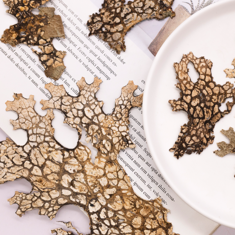 4pcs,Rare Bark Natural Pressed - Dried Flower Pressed review and price
