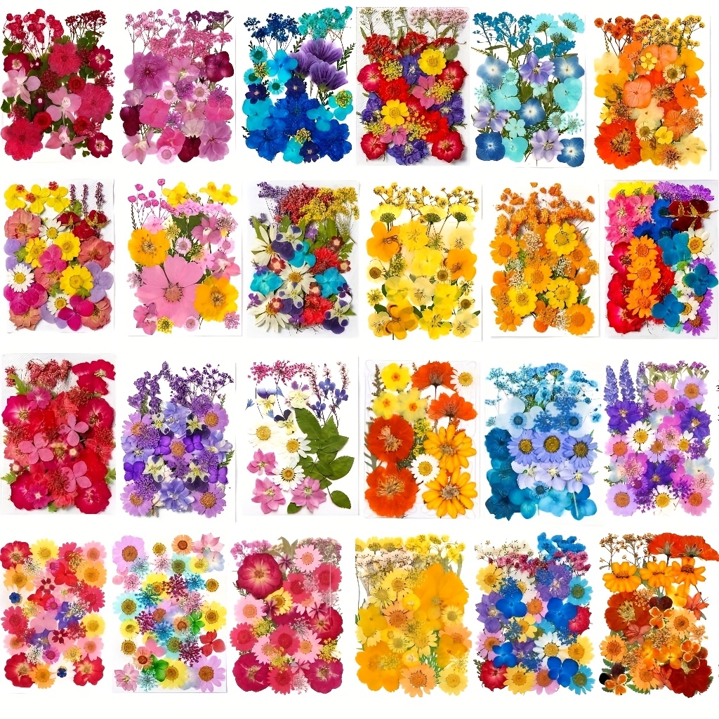 500pcs of Random Materials for - Resin Art Case review and price