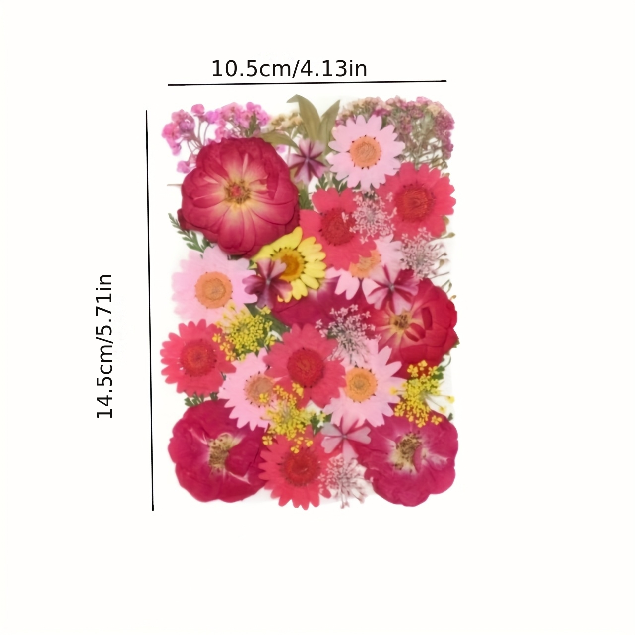 500pcs of Random Materials for - Resin Art Case review and price