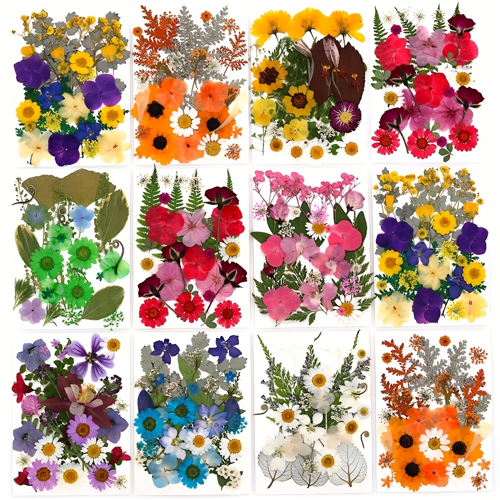 500pcs of Random Materials for - Resin Art Case review and price