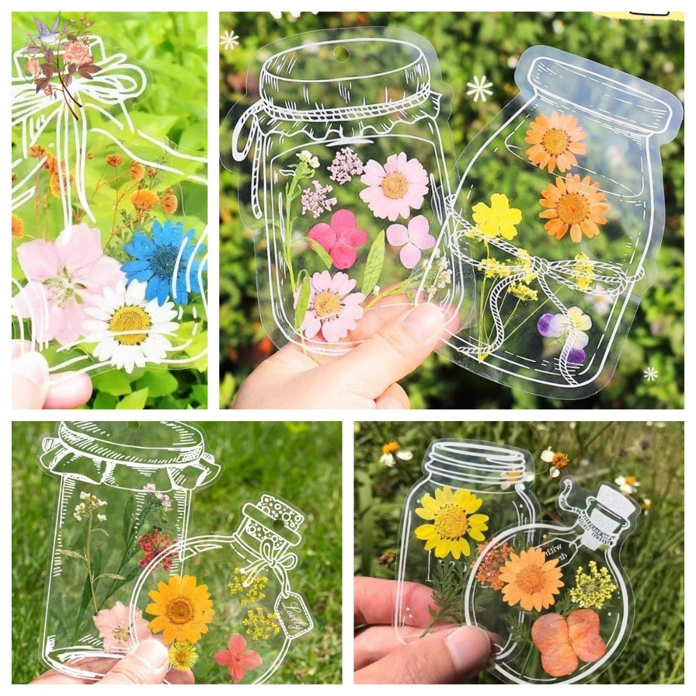 Handmade Pressed Dried Flowers - Dried Flower Pressed review and price