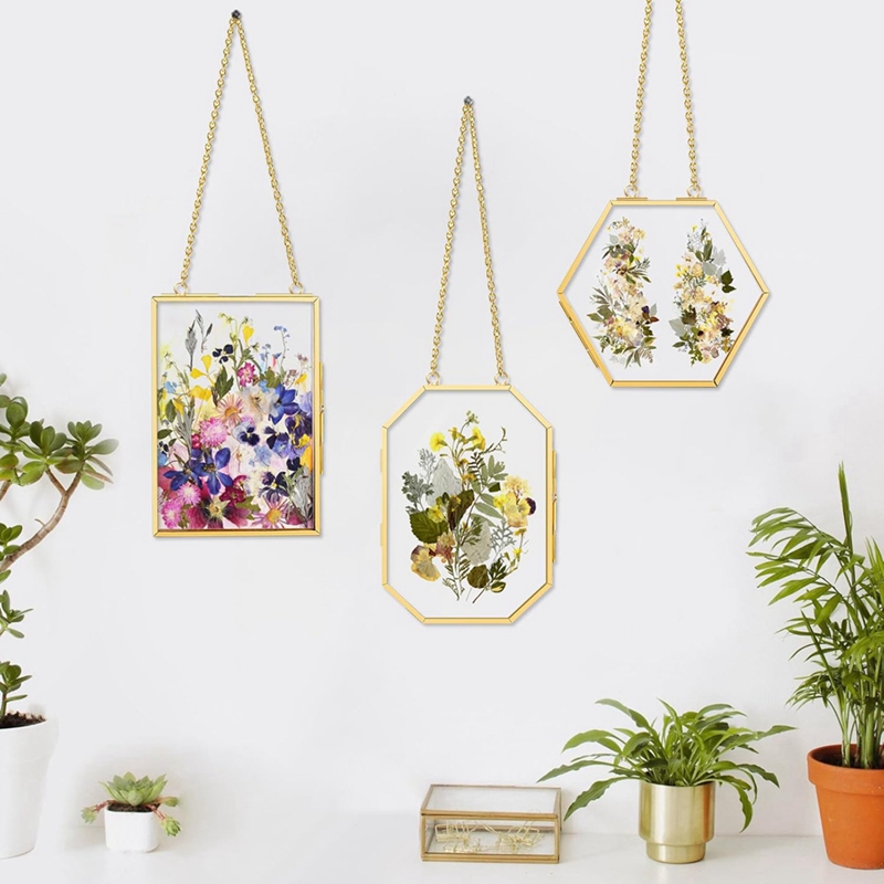 3 Pcs Pressed Flower Frames wi - Dried Flower Pressed review and price