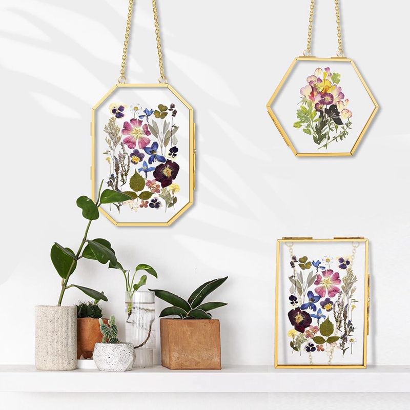 3 Pcs Pressed Flower Frames wi - Dried Flower Pressed review and price