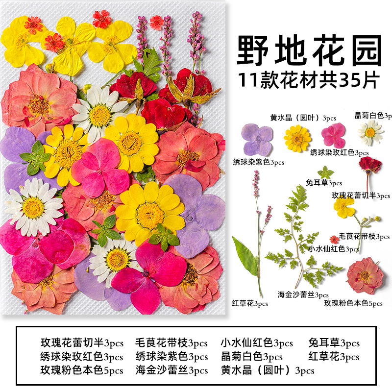 35Pcs10 Set of Dried Flowers a - Dried Flower Pressed review and price