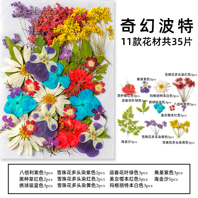 35Pcs10 Set of Dried Flowers a - Dried Flower Pressed review and price