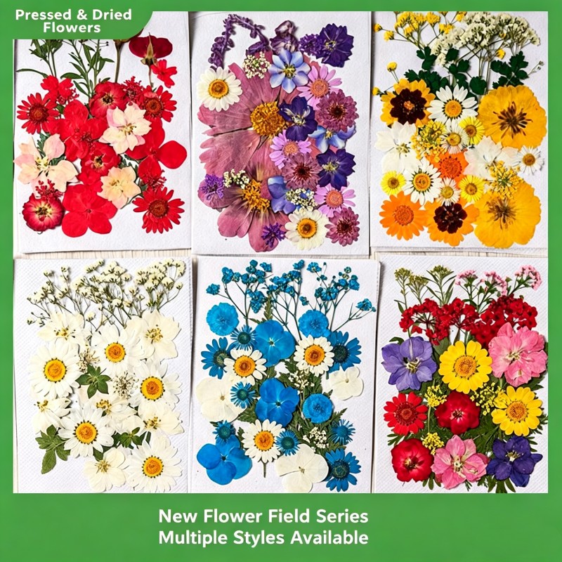 35Pcs10 Set of Dried Flowers a - Dried Flower Pressed review and price