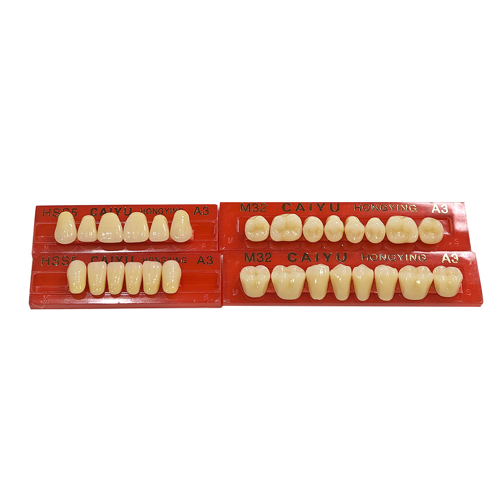 (28*1)*2 Sets Dental Squthetic - Resin Art Case review and price