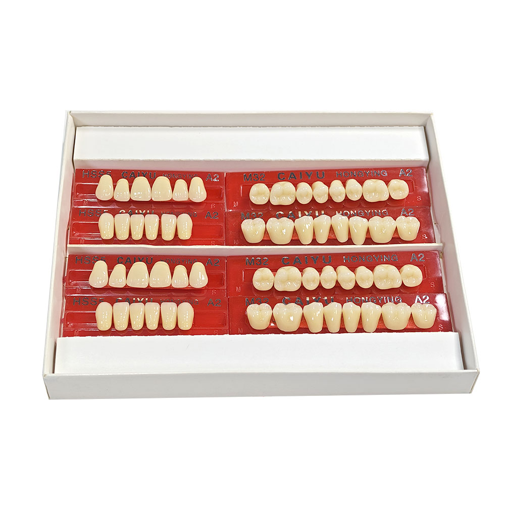 (28*1)*2 Sets Dental Squthetic - Resin Art Case review and price