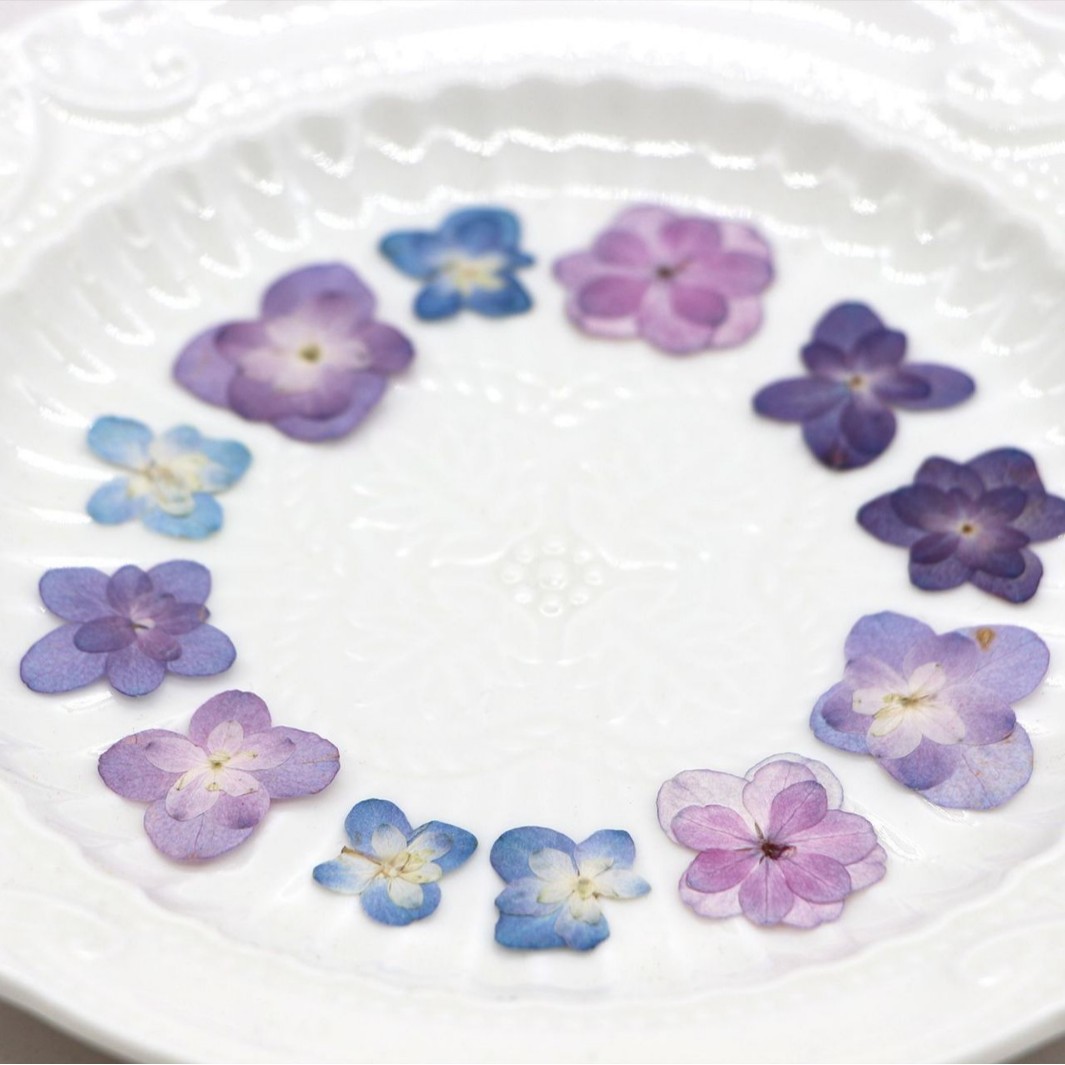60Pcs Mini Double-Flowered Hyd - Dried Flower Pressed review and price