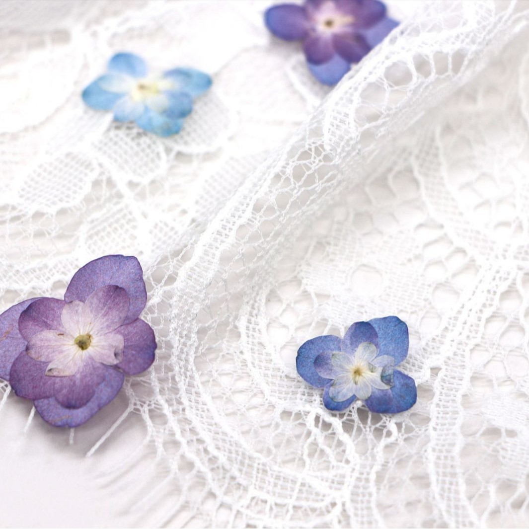 60Pcs Mini Double-Flowered Hyd - Dried Flower Pressed review and price