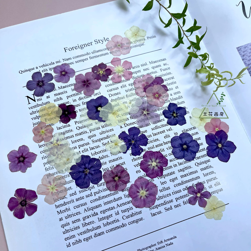 12pcs,Semi-Transparent Niche P - Resin Art Case review and price